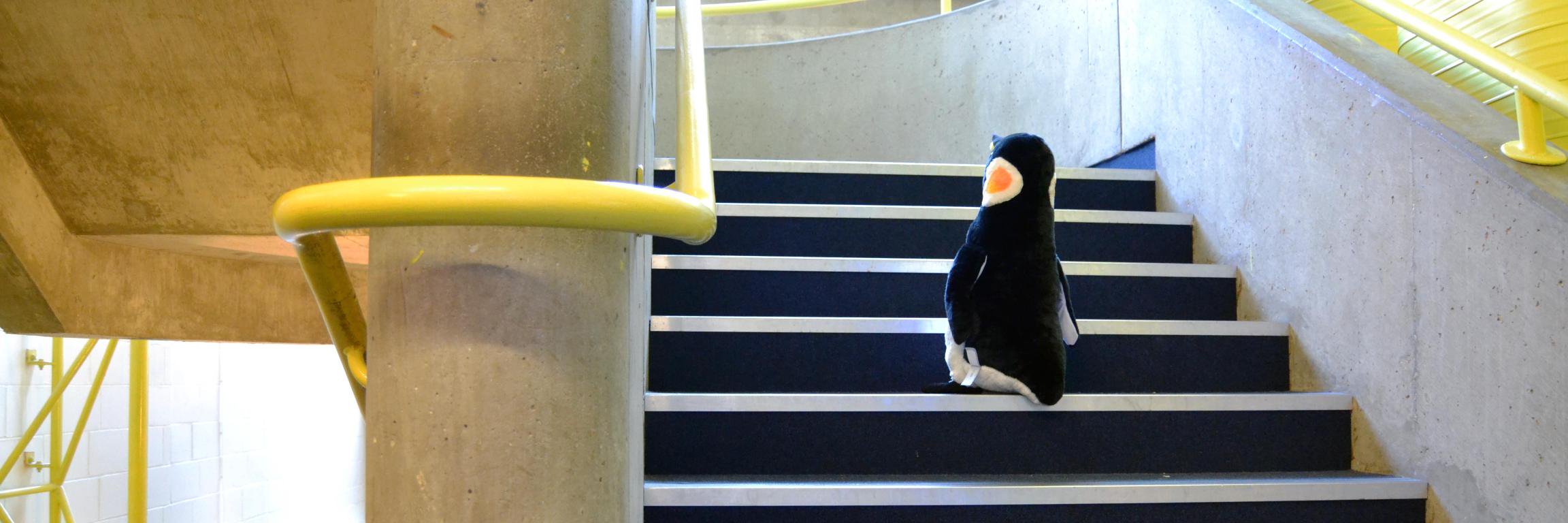 UoPLibrary Penguin banner