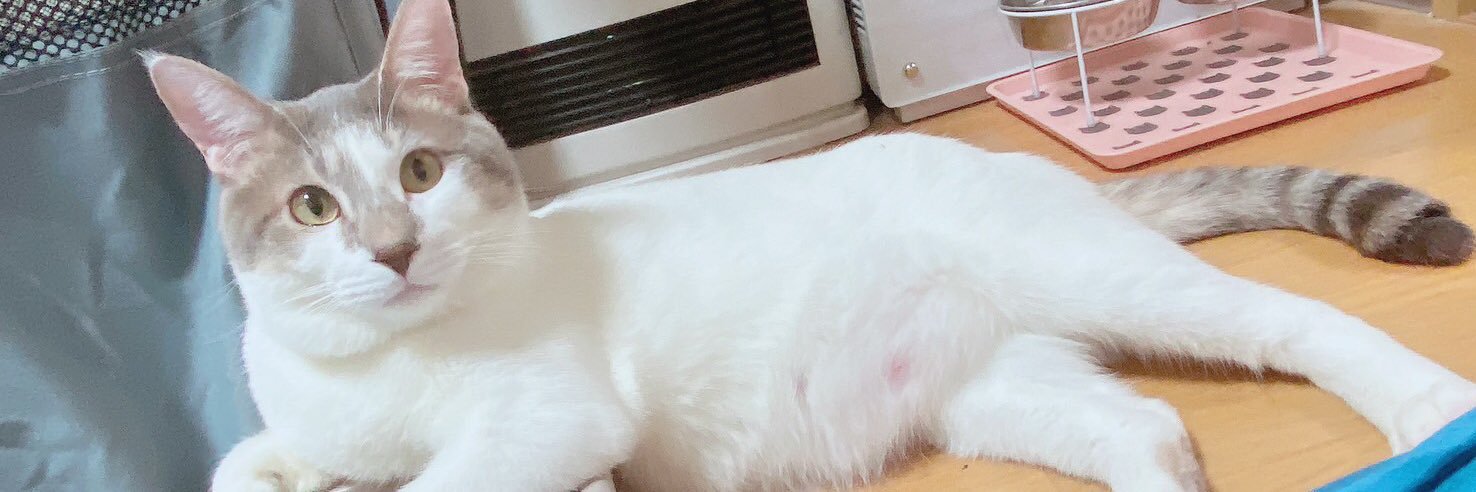 Saymusa5's profile banner image