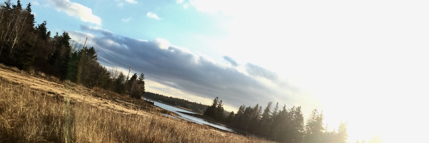 bethEdwards_'s profile banner image