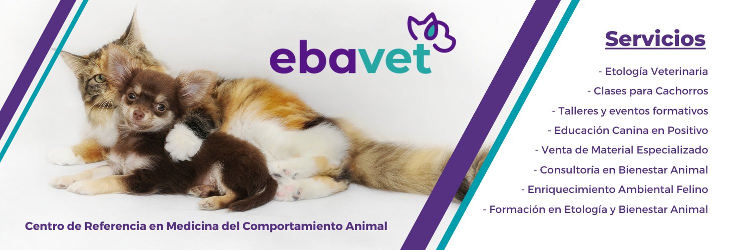 EBAVET's profile banner image