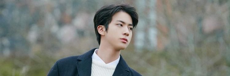 ♡คิมซอกจิน banner