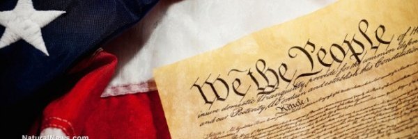 TopDogNews Profile Banner