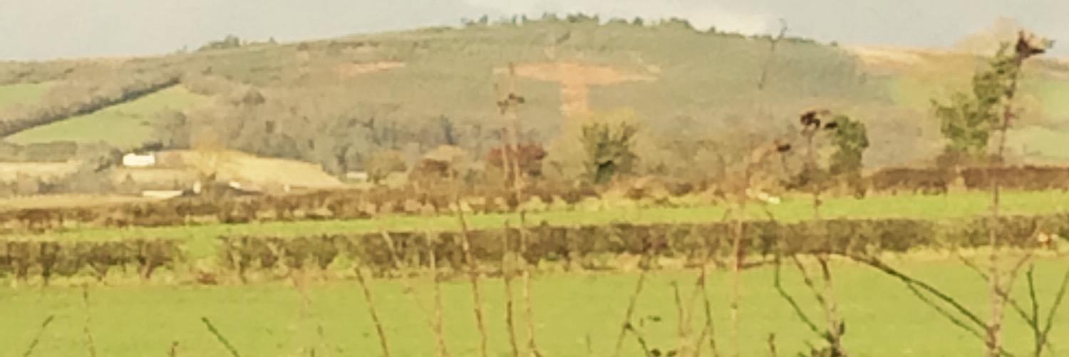 Mrs Shields St.Joseph’s Derry banner