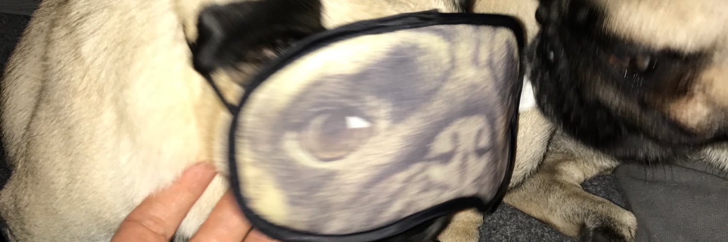 duckchat77's profile banner image