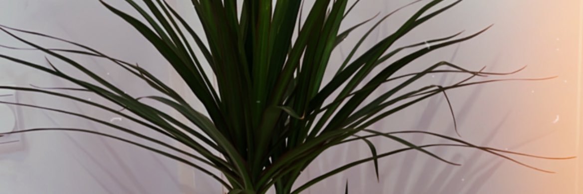 sonia_matar's profile banner image