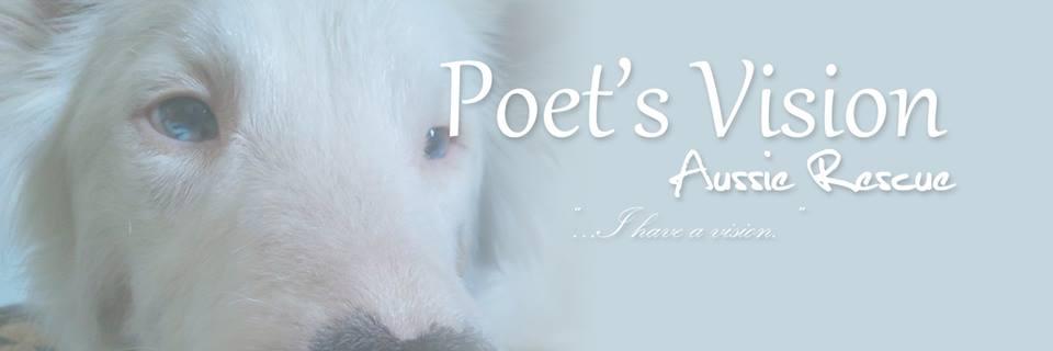 PoetsVision's profile banner image