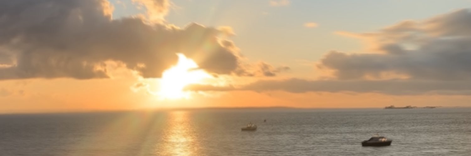 Ammy95's profile banner image