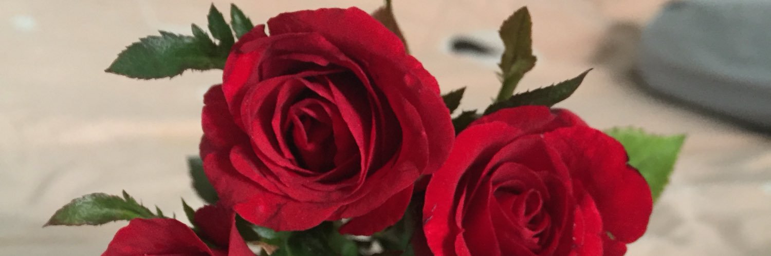 PopPrayalor's profile banner image