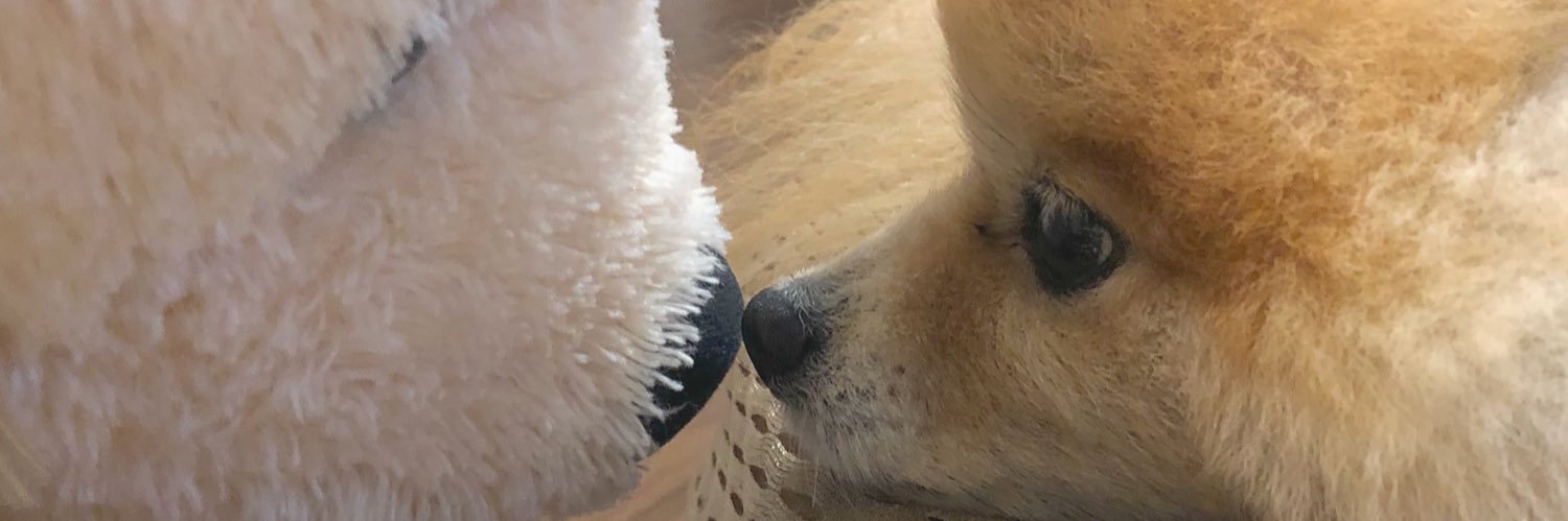 Momo___1020's profile banner image