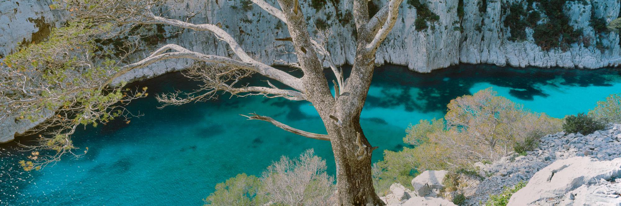 Audrey Vendembilque banner