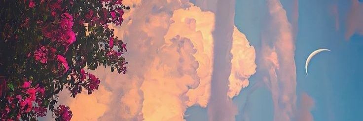CamilaBote's profile banner image