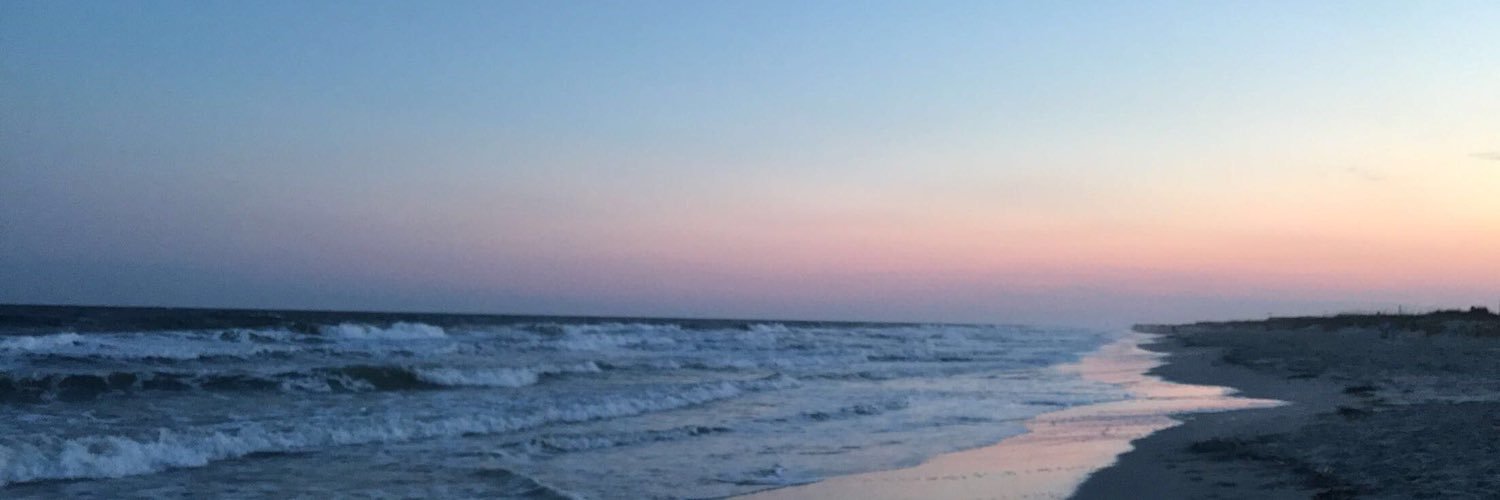 Garbanzo929's profile banner image