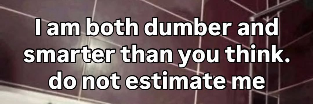 nasa 🌙 🇵🇸 banner