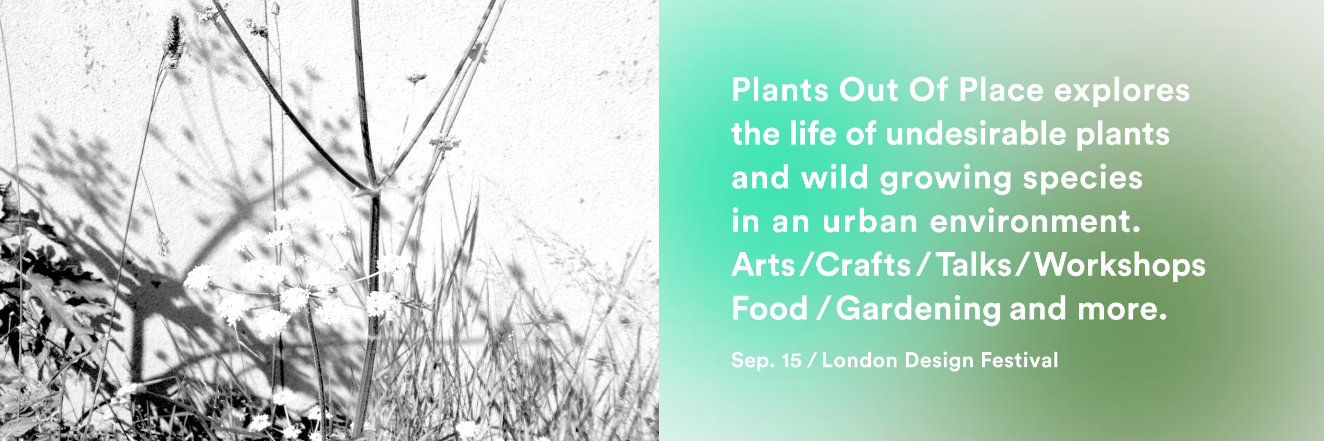 PlantOutOfPlace's profile banner image