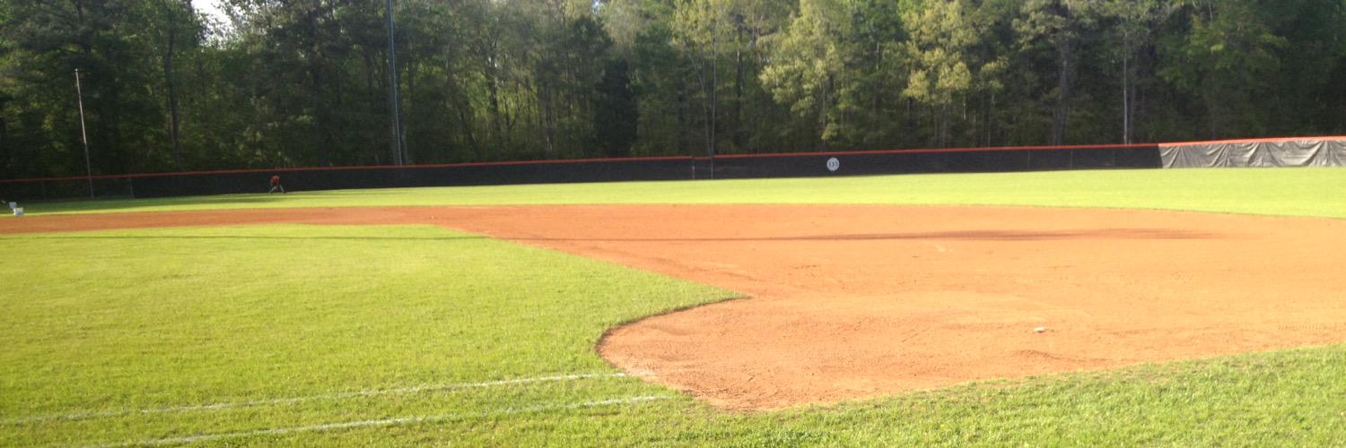 Stallion Baseball banner