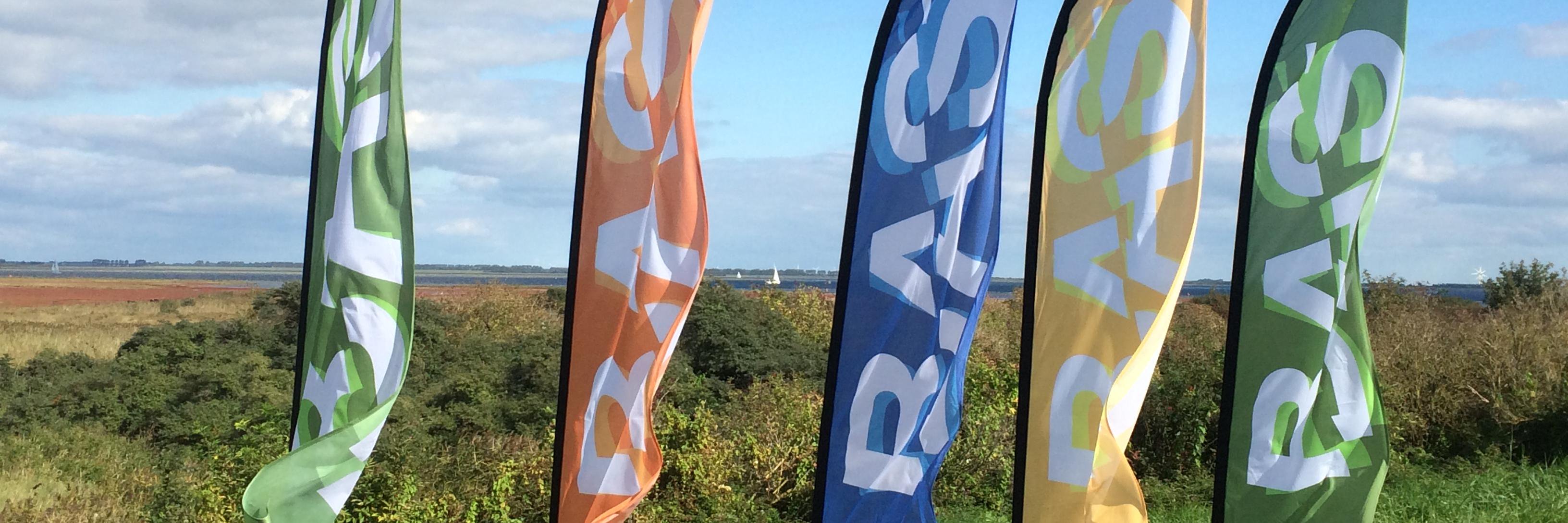 de BAS Stichting banner