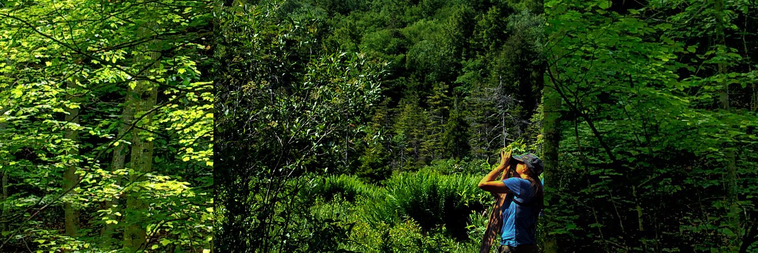 BoGardiner2's profile banner image