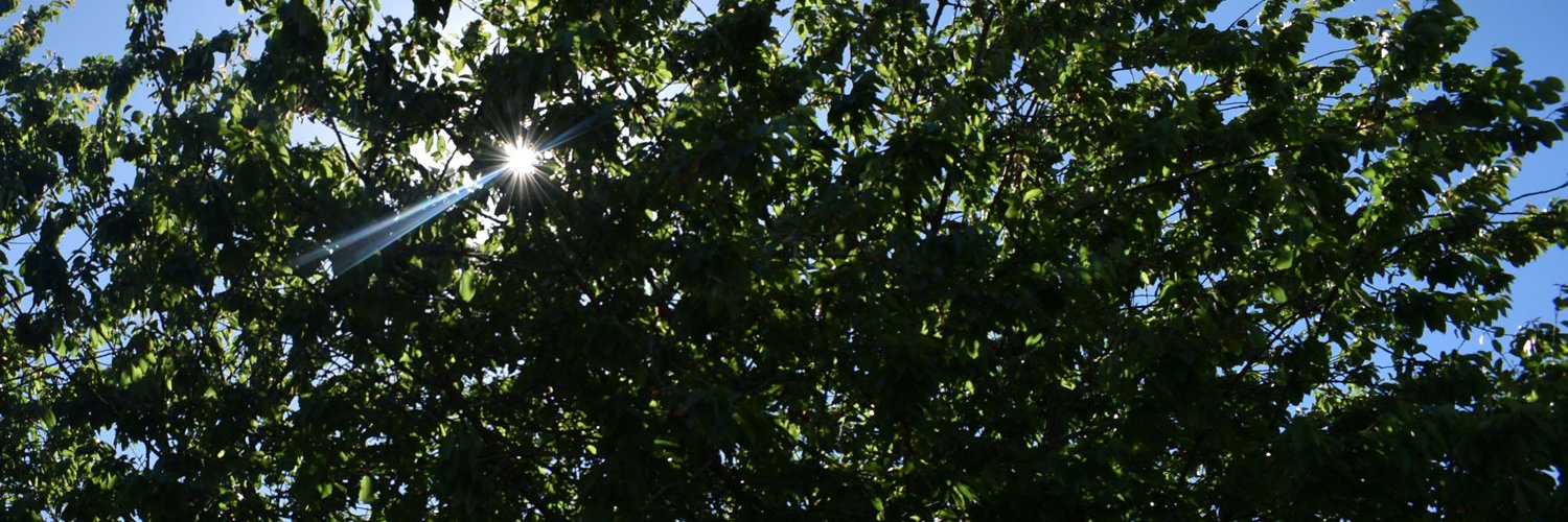 maria_lo_f's profile banner image