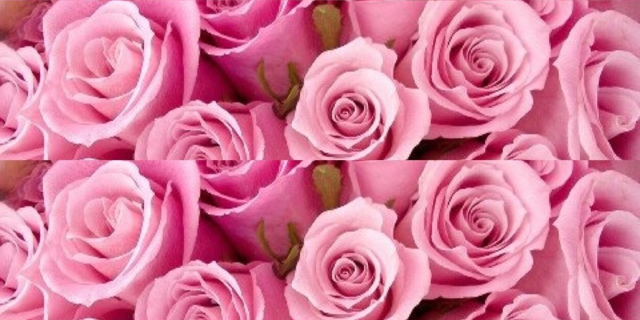Rosie banner