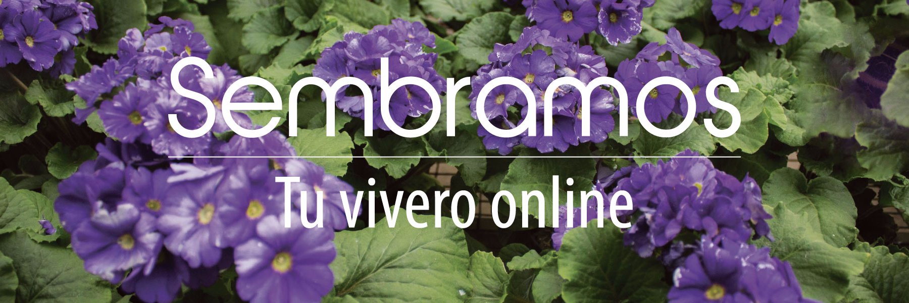 Sembramosonline's profile banner image