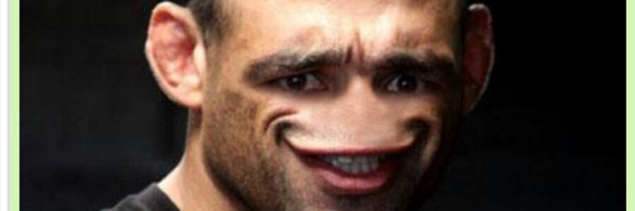 steinberg420's profile banner image