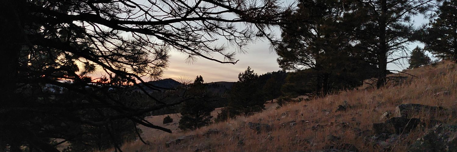collinspest's profile banner image