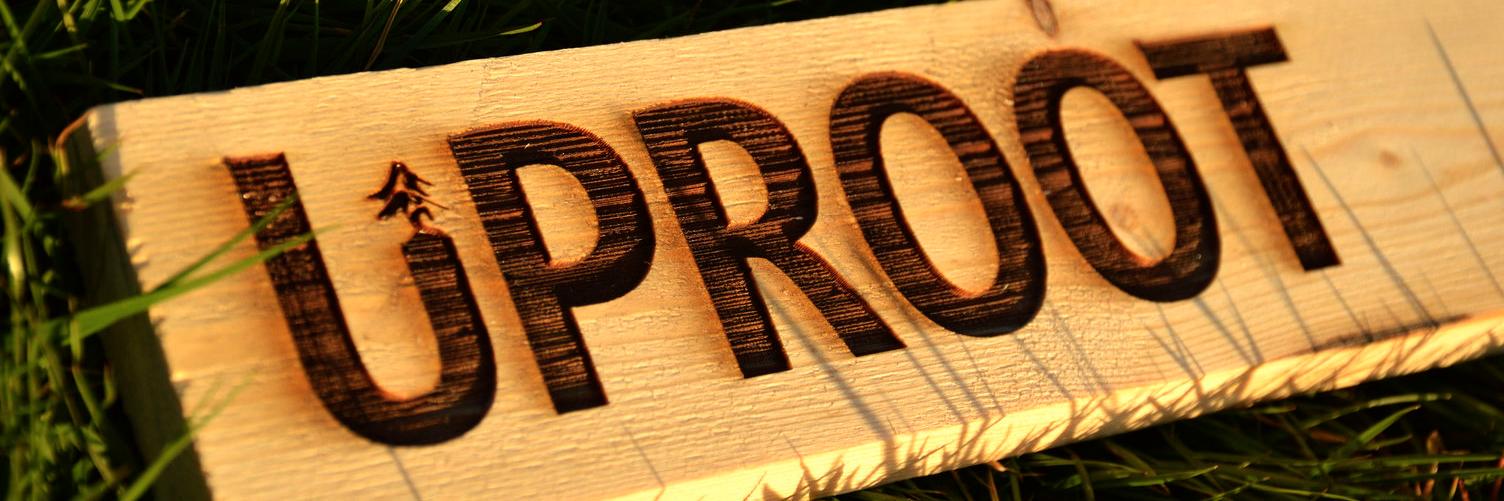 uprootnow's profile banner image