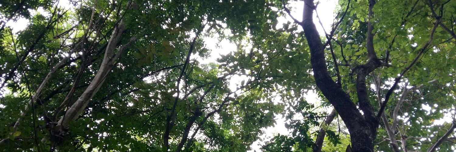 inonthemoon's profile banner image