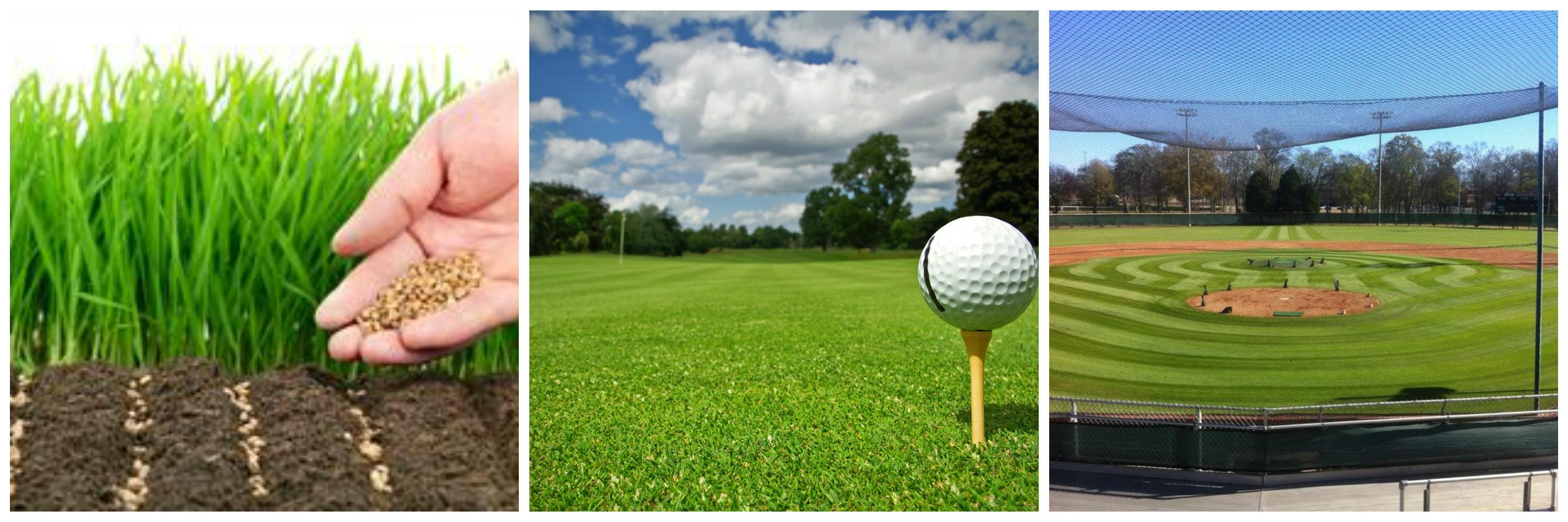 Gulf Coast Organic banner