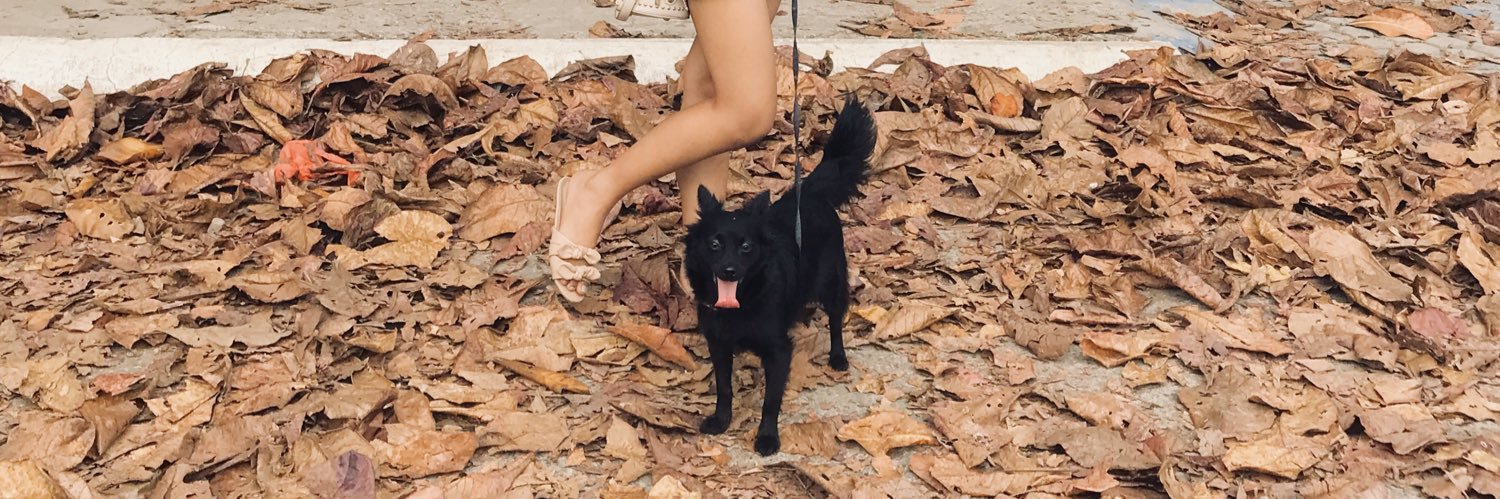 ChristyyKreme's profile banner image