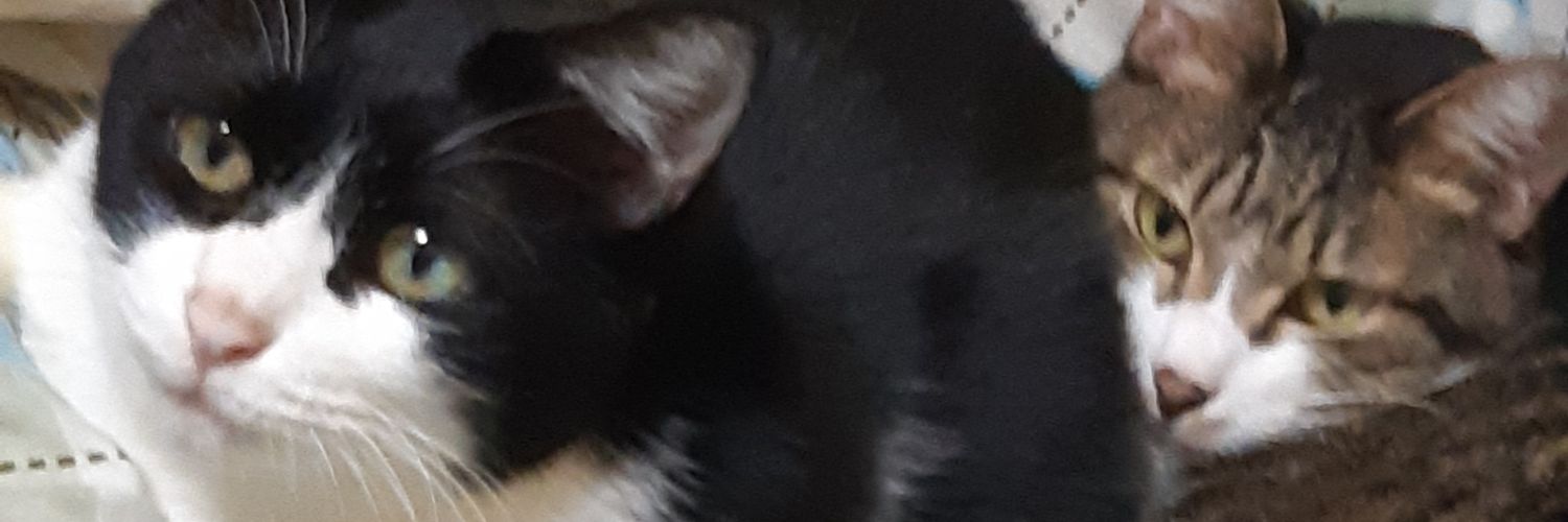 c_fam8's profile banner image