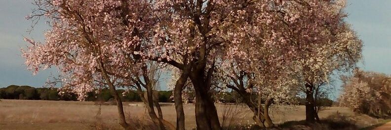 MACruzLaBotica's profile banner image