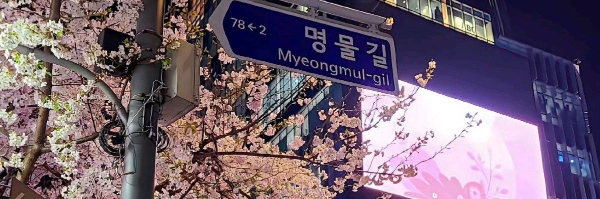 9t_y9's profile banner image