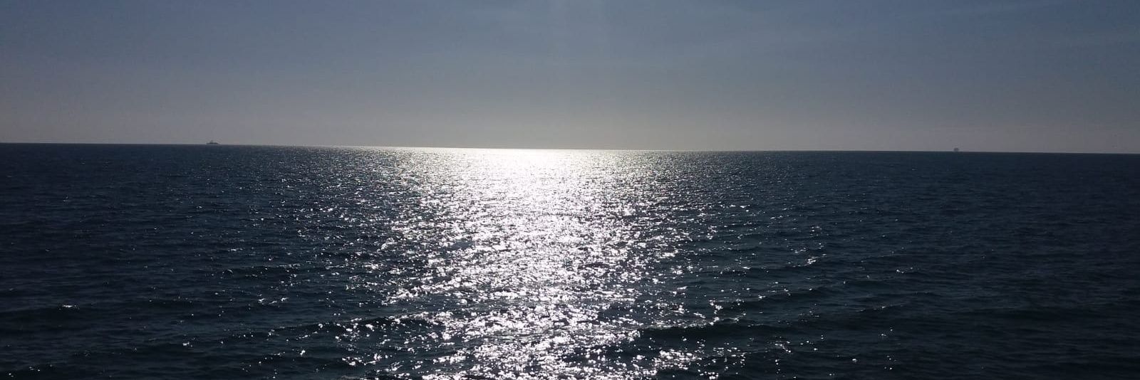 MorganaSativa's profile banner image