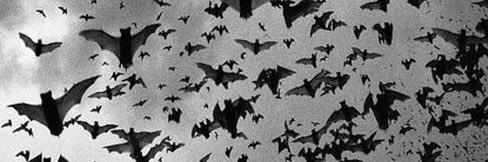 emjklages's profile banner image