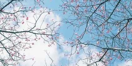 Invite_paradise's profile banner image