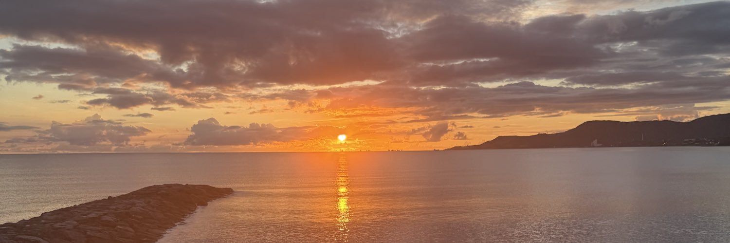 alstweet's profile banner image