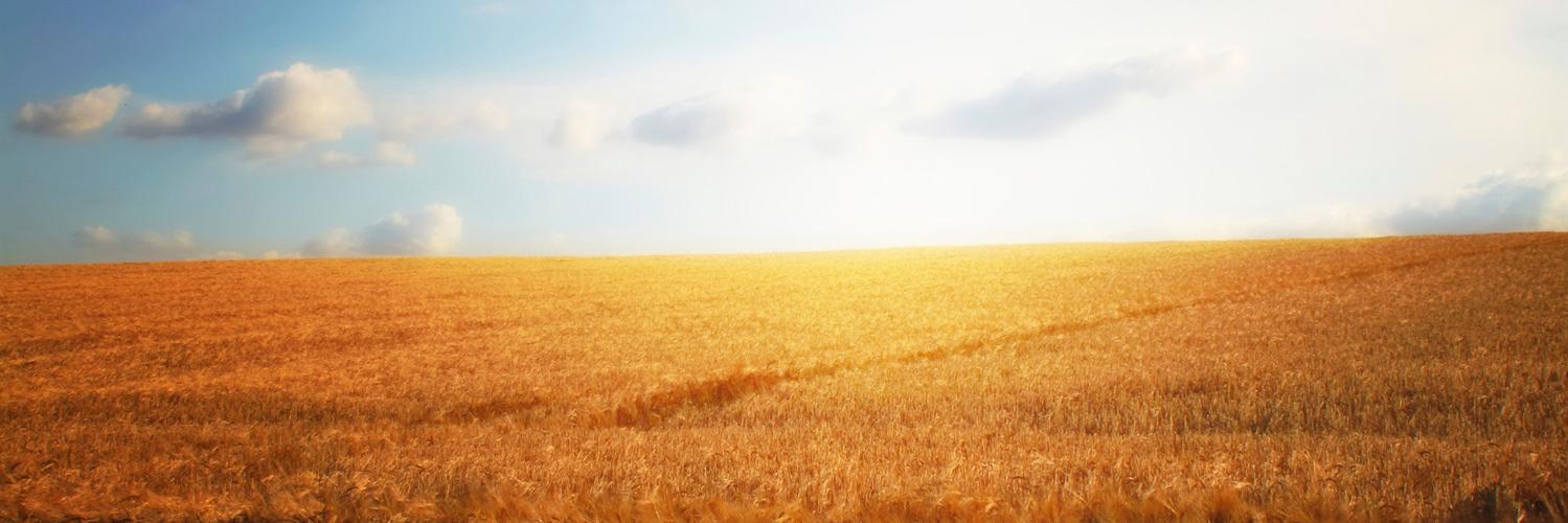 USRuralHealth's profile banner image