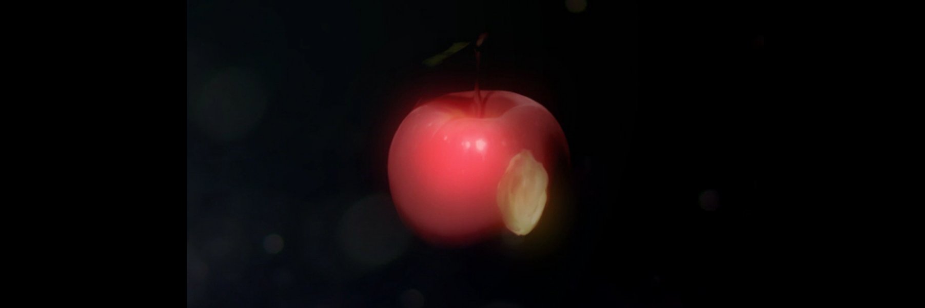 NekosabaK's profile banner image
