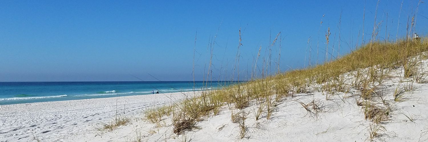 harmonybeach's profile banner image