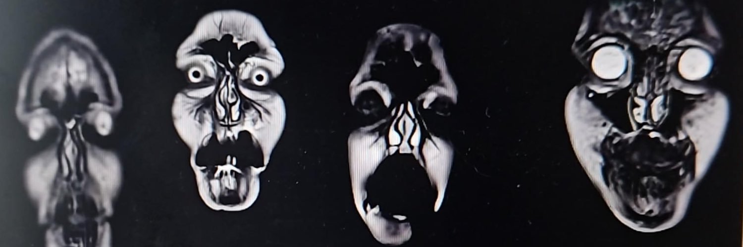 Stacey Humphries banner