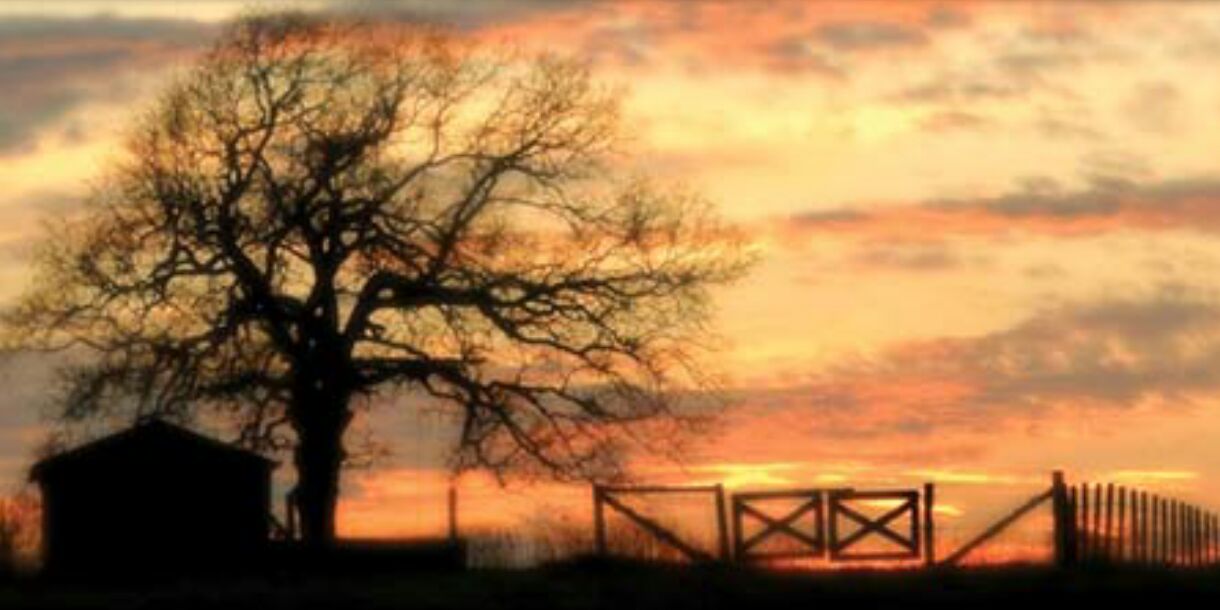 SamShelton47's profile banner image