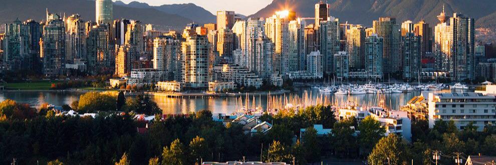 Carlisle Cullen banner