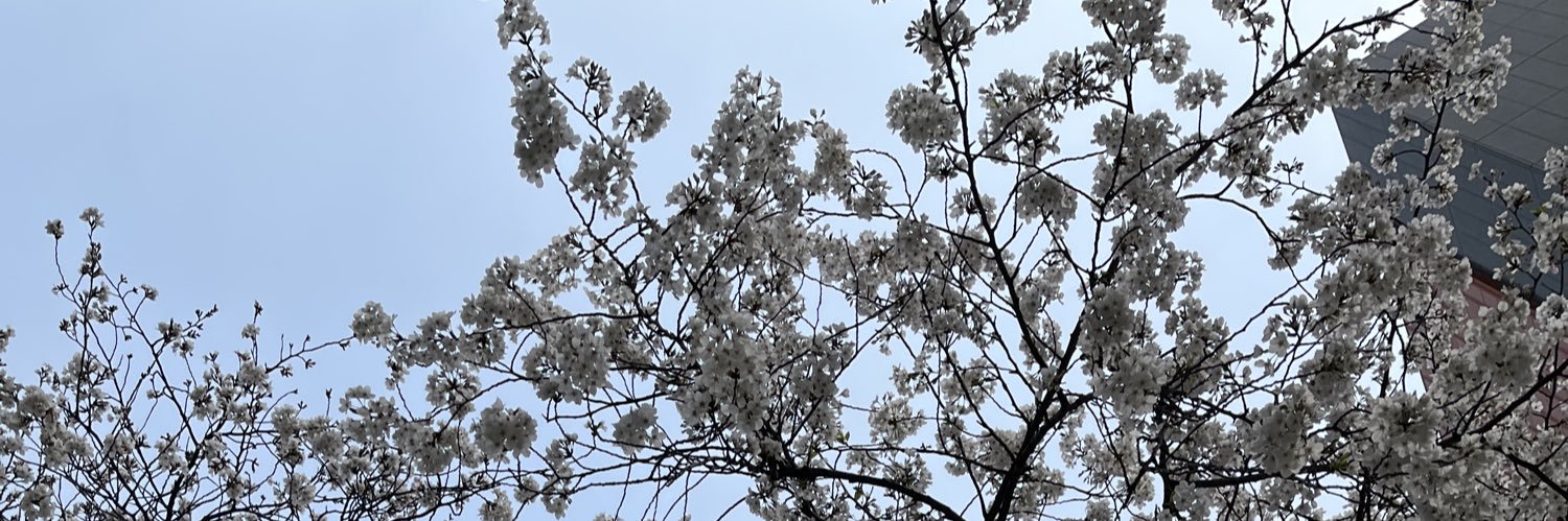 歌留多 banner