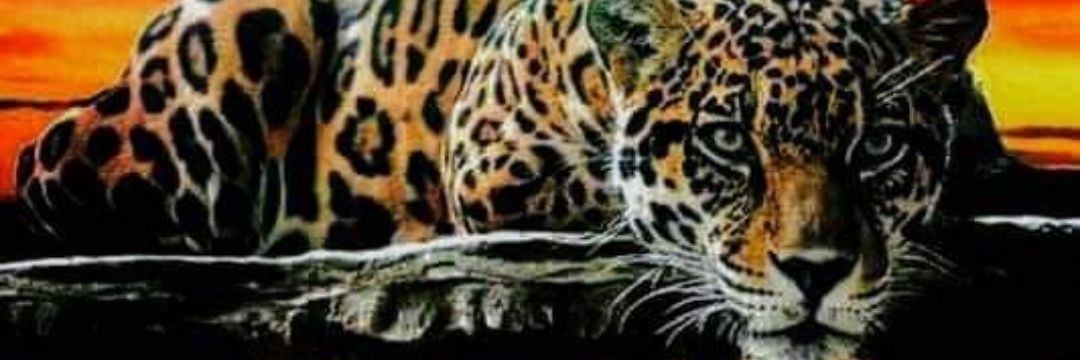 ClaudiaElizz's profile banner image