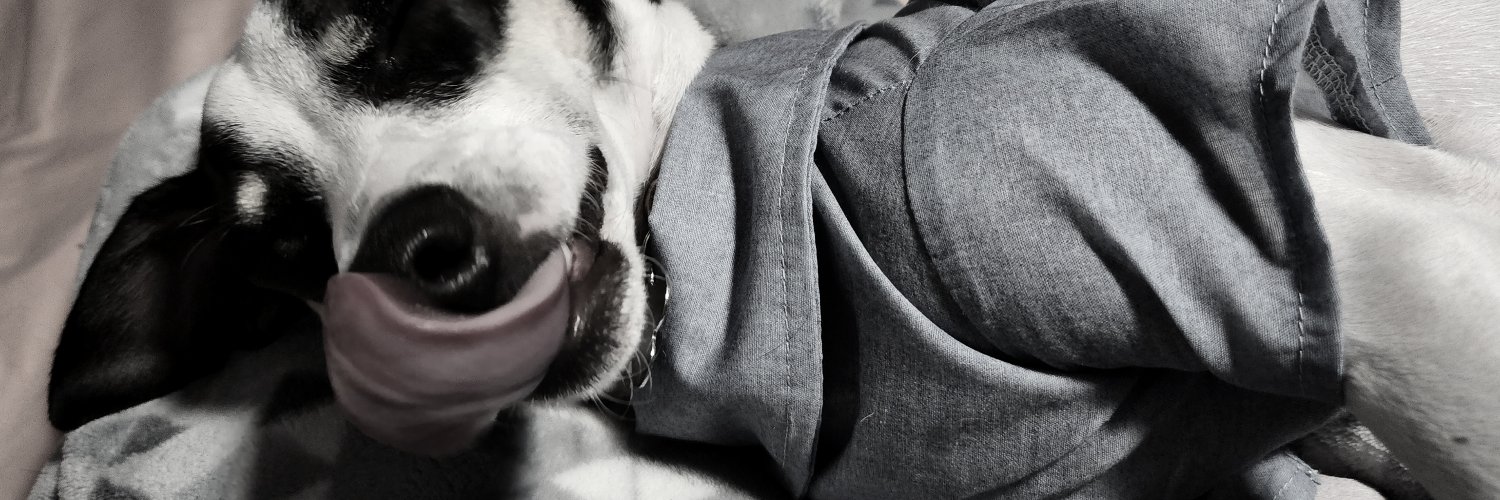 Melowsh's profile banner image