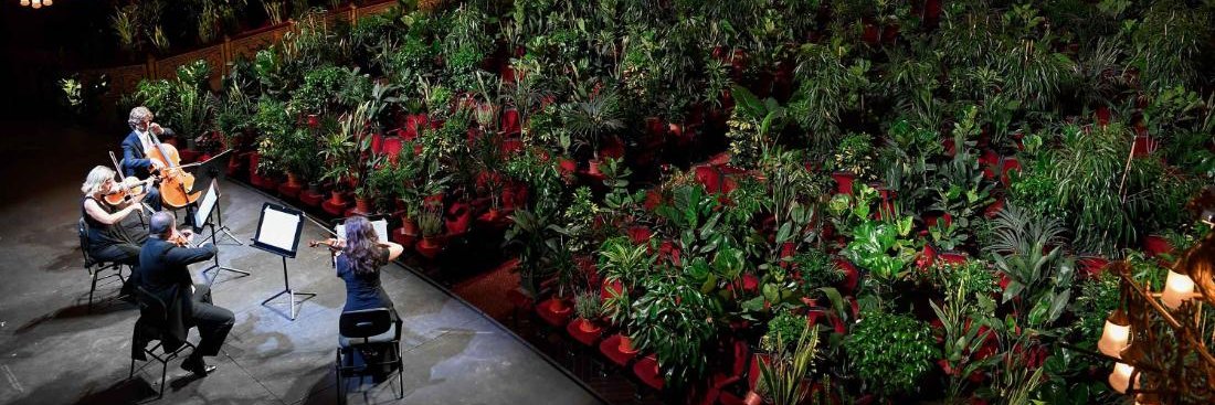 Theresa Crysmann banner