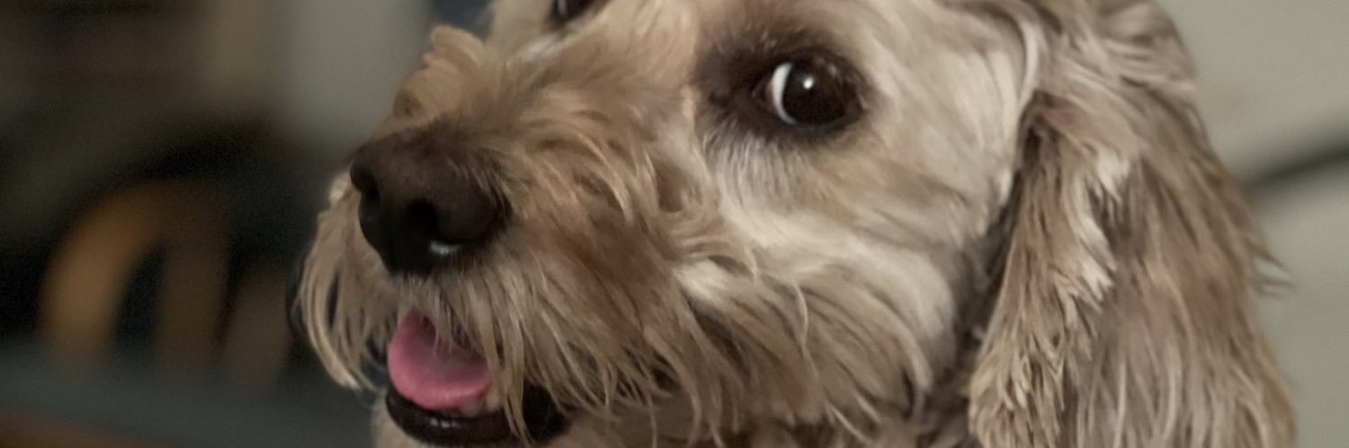 DrNeillCohen's profile banner image