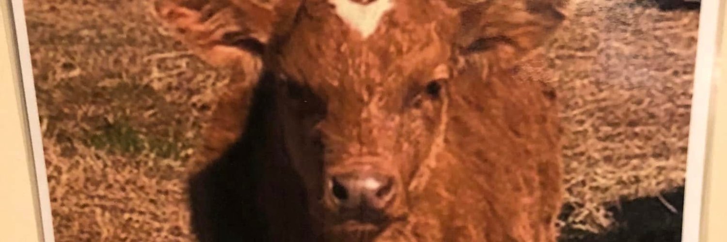 treesprite3's profile banner image