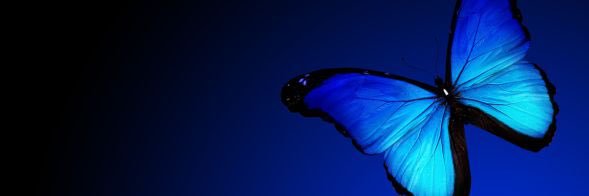 amyfern79's profile banner image